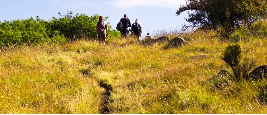 Trekking