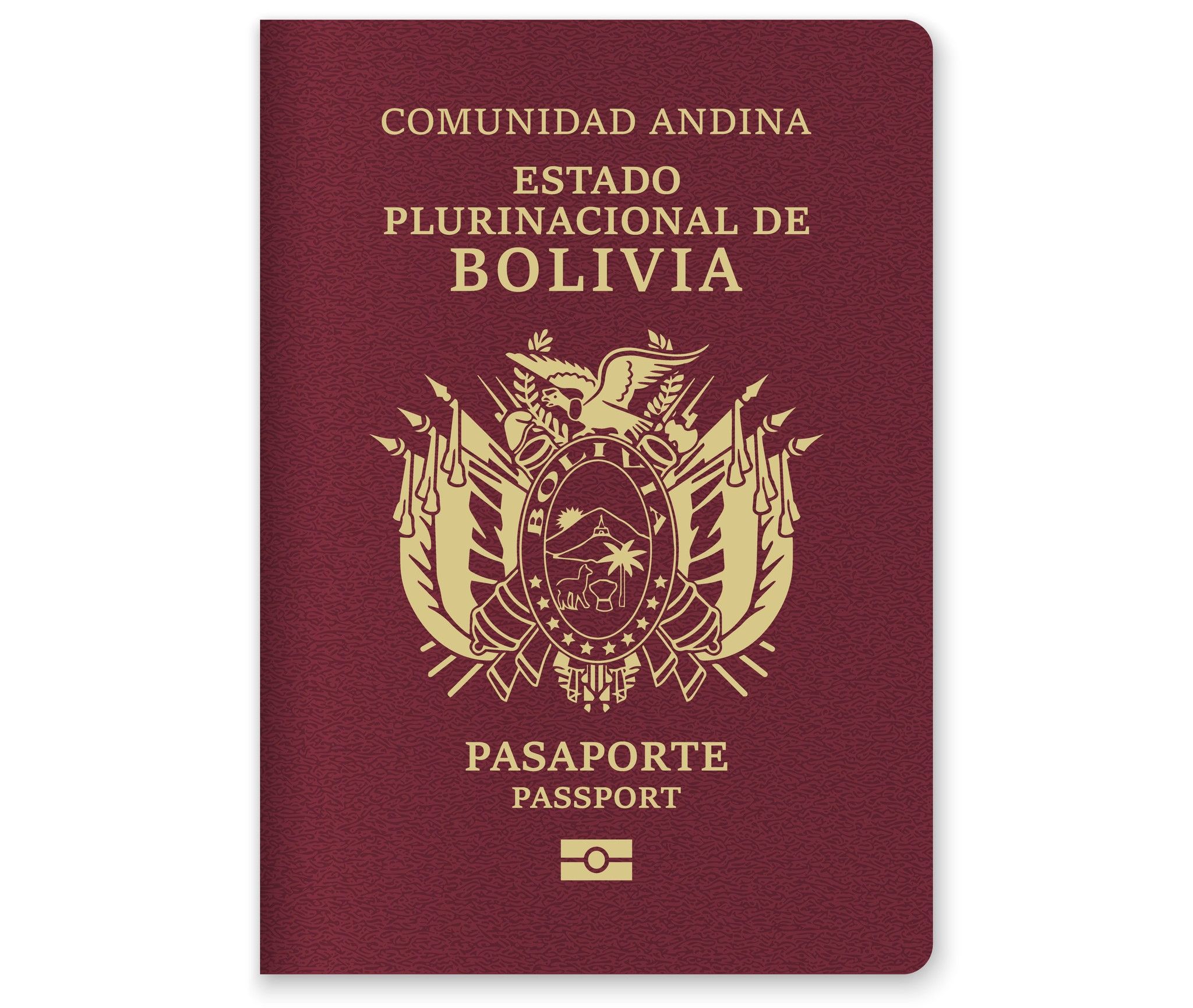 Bolivia Passport