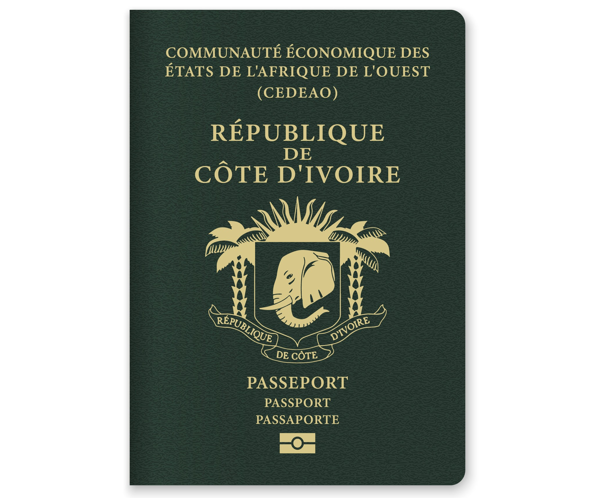 Cote Divoire Passport