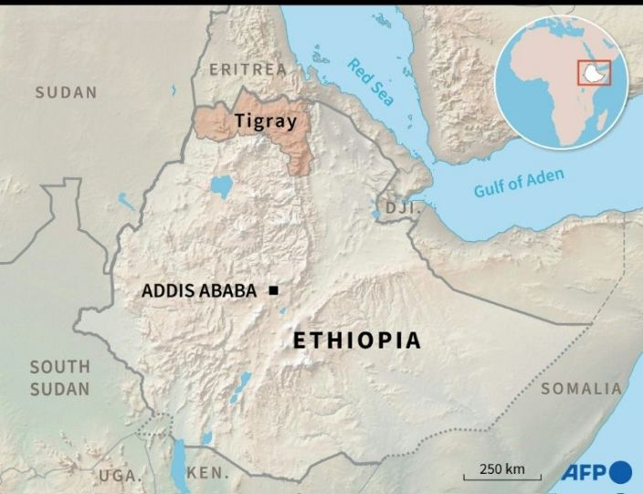 Ethiopia's Substantial Losses and Recovery Plans