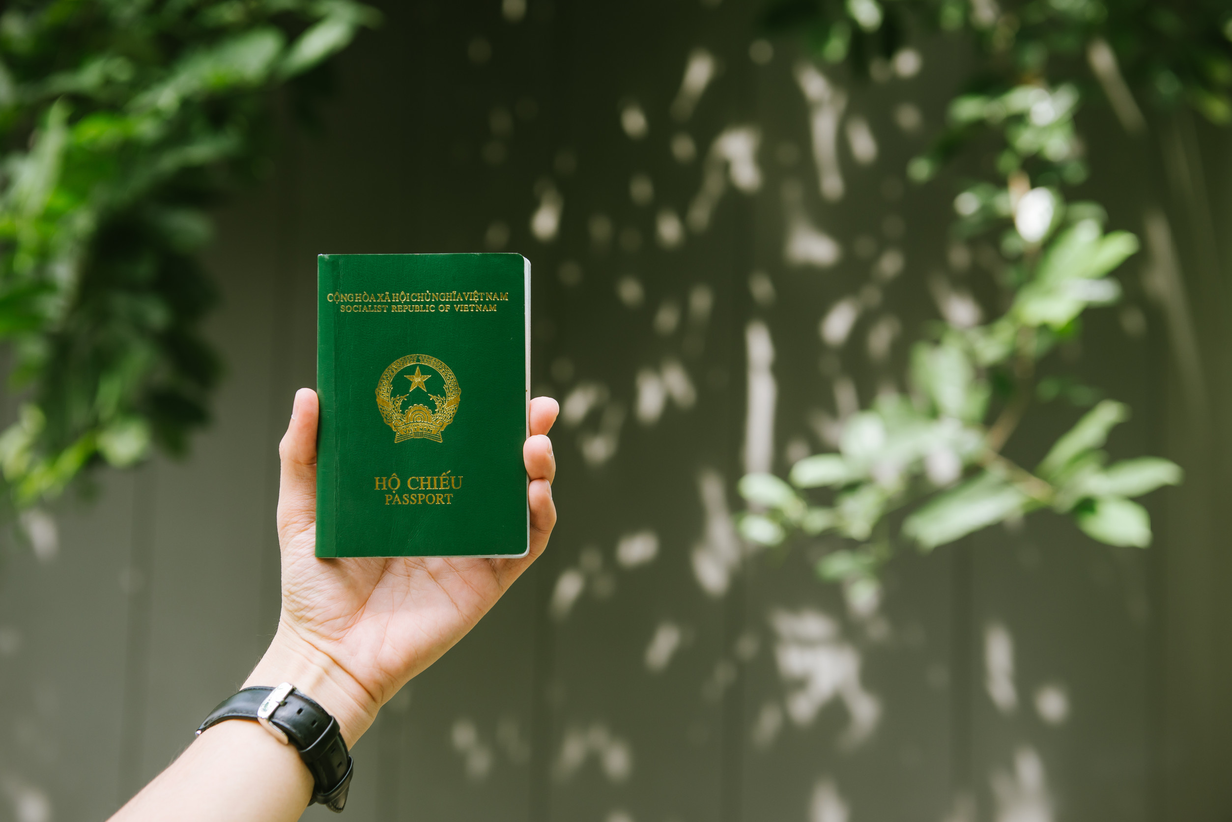 Mann hält vietnamesischen Reisepass bereit für die Reise