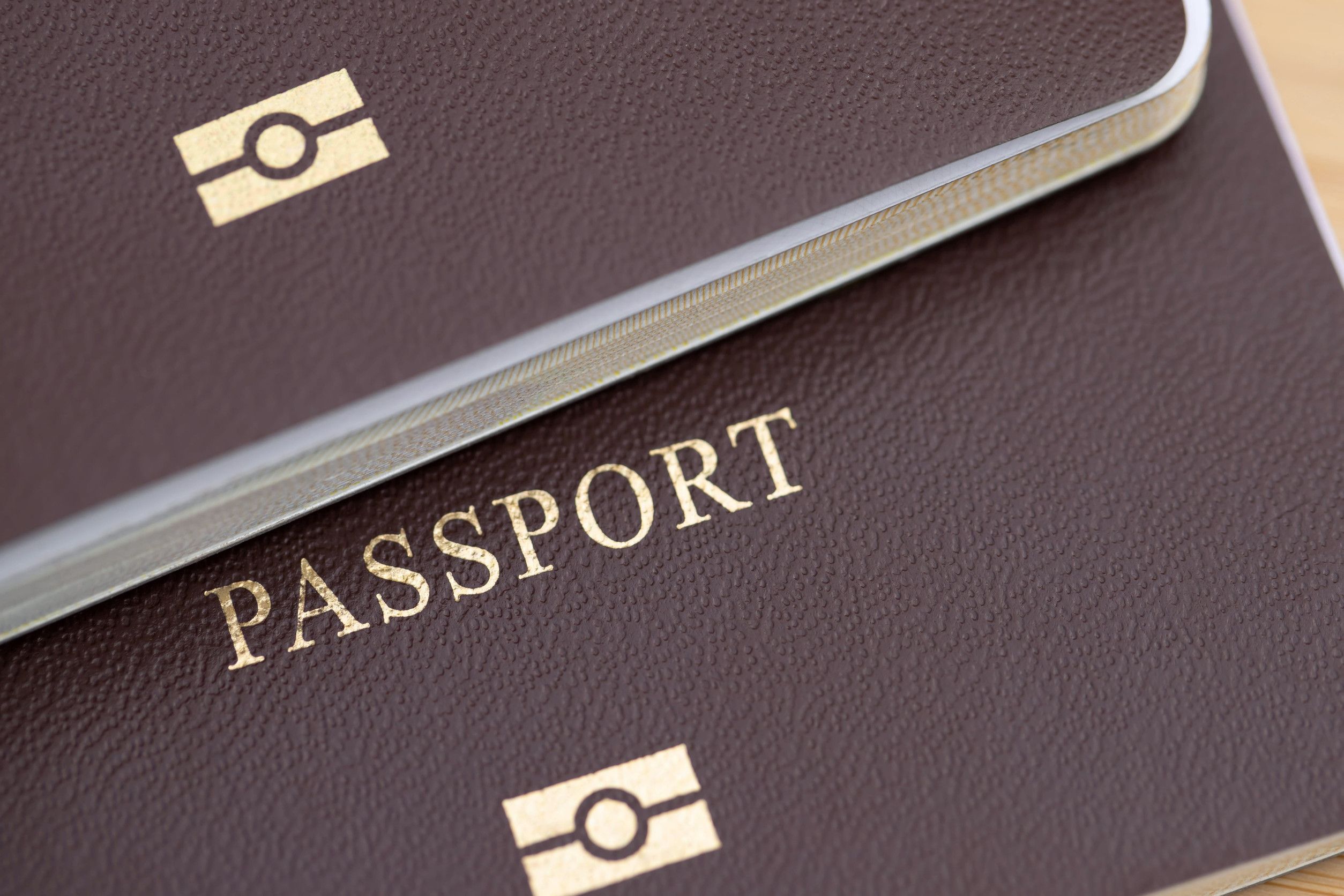 Passports For Traveling